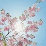 Flowering tree branches with pink blossoms against a blue sky and bright sun.