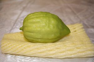The citrus fruit Etrog on a folded cloth.