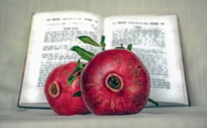 Pomegranates in front of an open Torah.