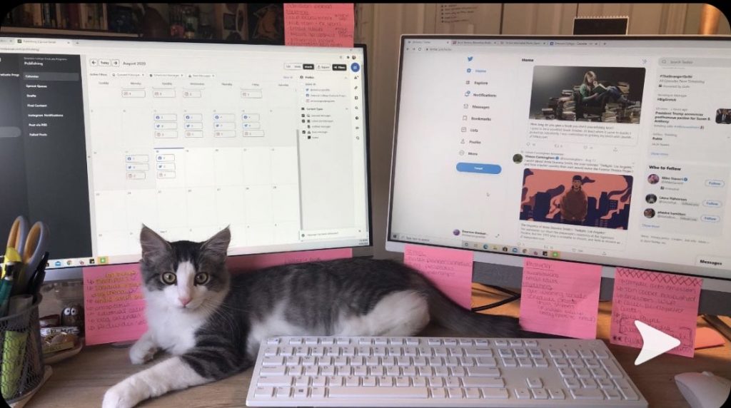 A cat sits in front of two computer monitors from Hanna's at-home work station.