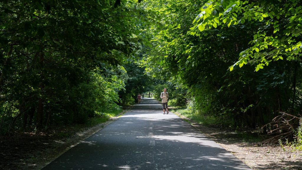 A photo of a man running on a walking path