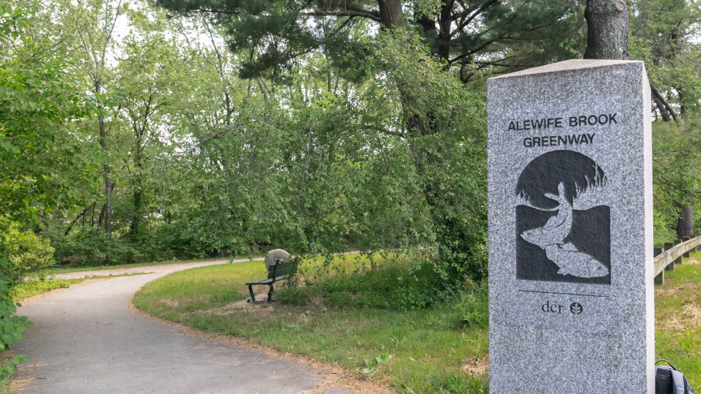 A photo of a walking path that's part of the Minuteman Bikeway