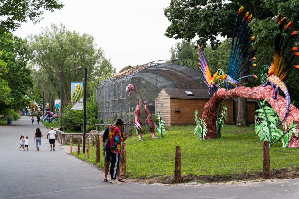 Pedestrians walking through Franklin Park and Zoo admiring animal sculptures.