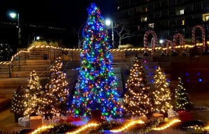 Winter displays at The Anchor in Boston's Seaport, featuring assorted lit Christmas trees.
