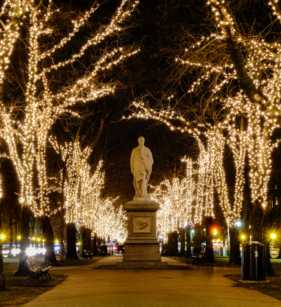 A classic image of winter in Boston, the bright-white lit trees along Commonwealth Avenue.