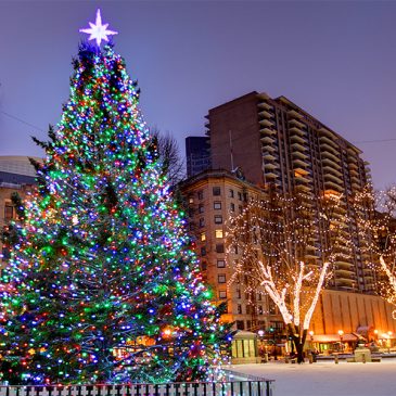 How to Make the Most of Winter Break in Boston