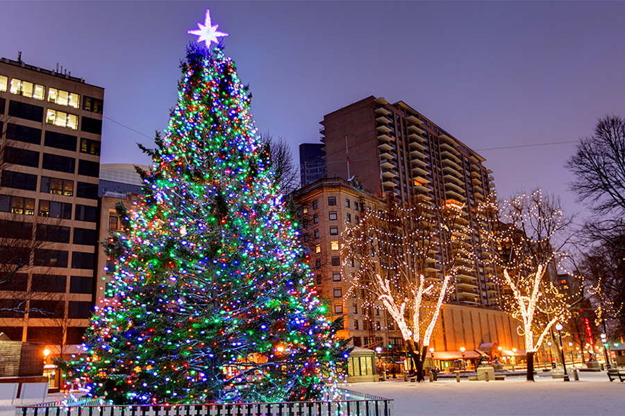 Lighted Christmas tree in Boston Common