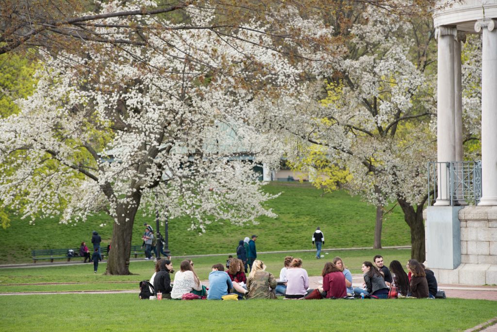 A group of students sitting in a large circle on the Common as trees bloom - the perfect place to study in the springtime! 