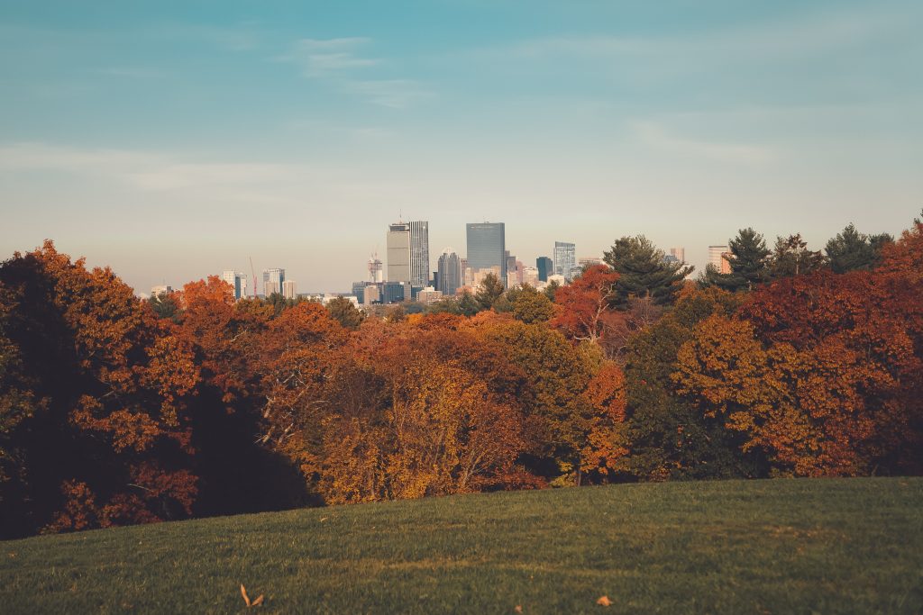 Image of Larz Anderson Park, the largest park in Brookline, MA.