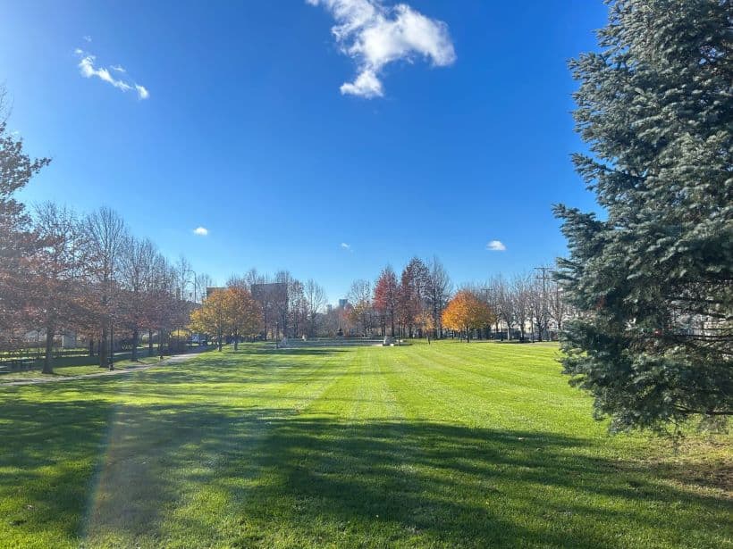 Large open field in Bremen Street Park