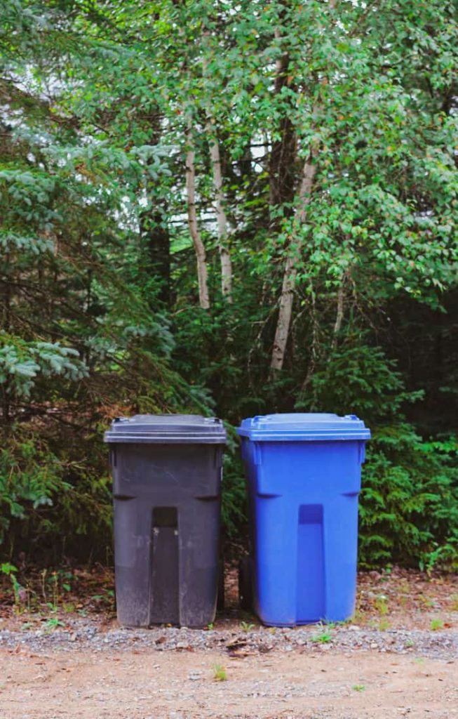 A blue recycling bin and black trash bin in front of vibrant trees