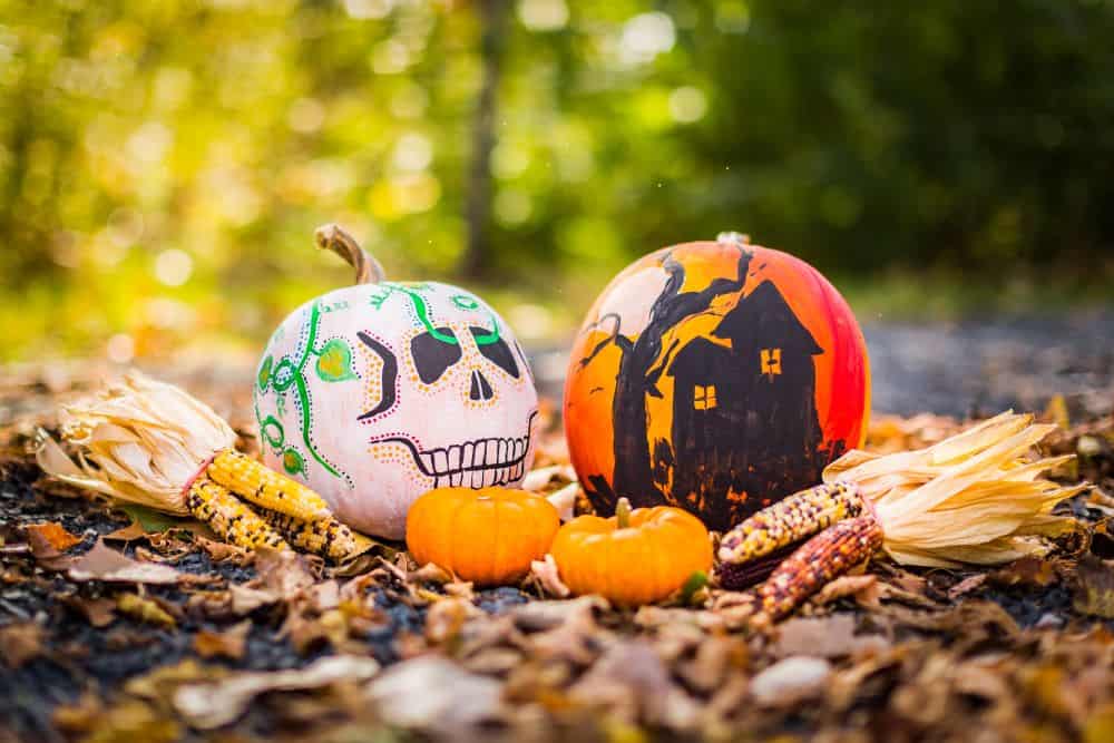 Two pumpkins sitting in fall foliage. One is white and painted to look like a skull, and the other is orange with a black house and tree painted on. 