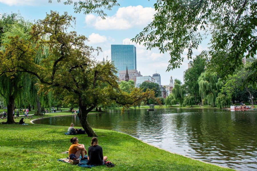 Two people sit on the grass looking at the pond in the Public Gardens. In the background are many trees and some city buildings outside of the park.