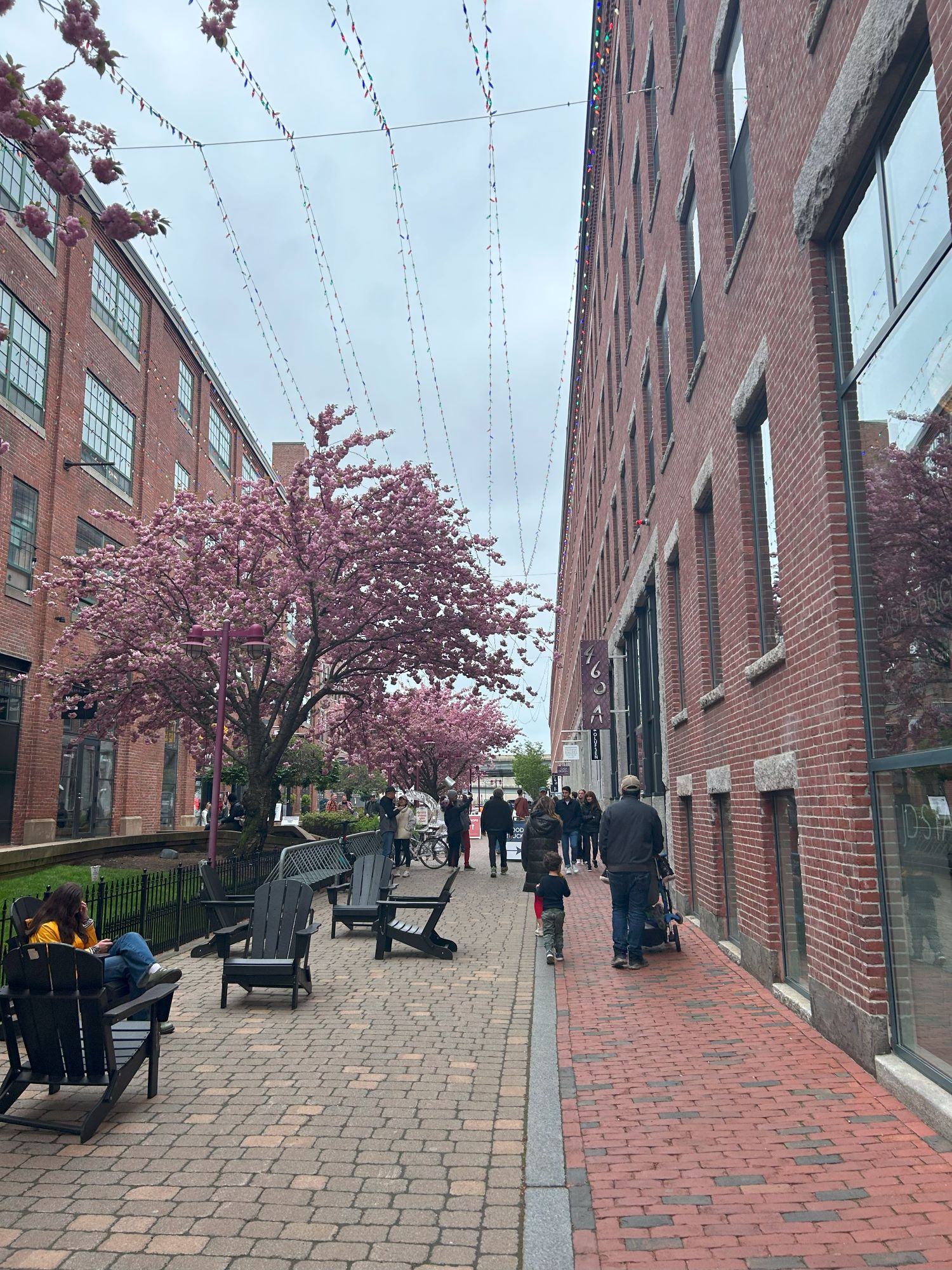 A brick alley with people strolling through. On either side are large brick buildings, and on the left are trees with pink blossoms