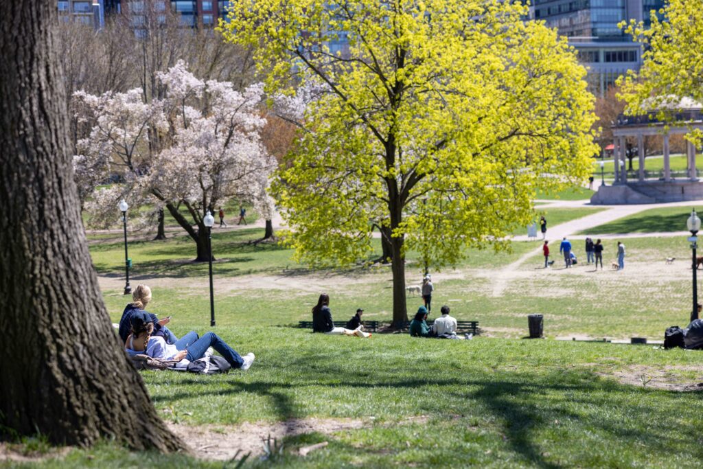 Boston Commons during the spring.