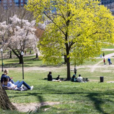 Graduate and Professional Studies Spring 2025 Newsletter