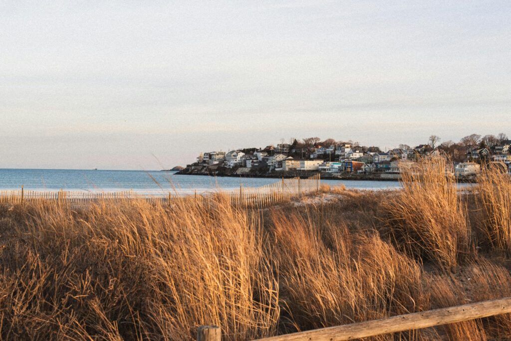 Beach scene at dusk with houses in the distance.