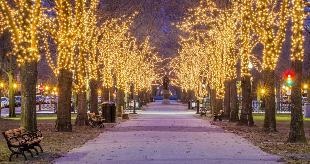 Trees wrapped with golden lights illuminate a path with benches on the side.