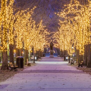 Best Places to See Holiday Lights Around Boston