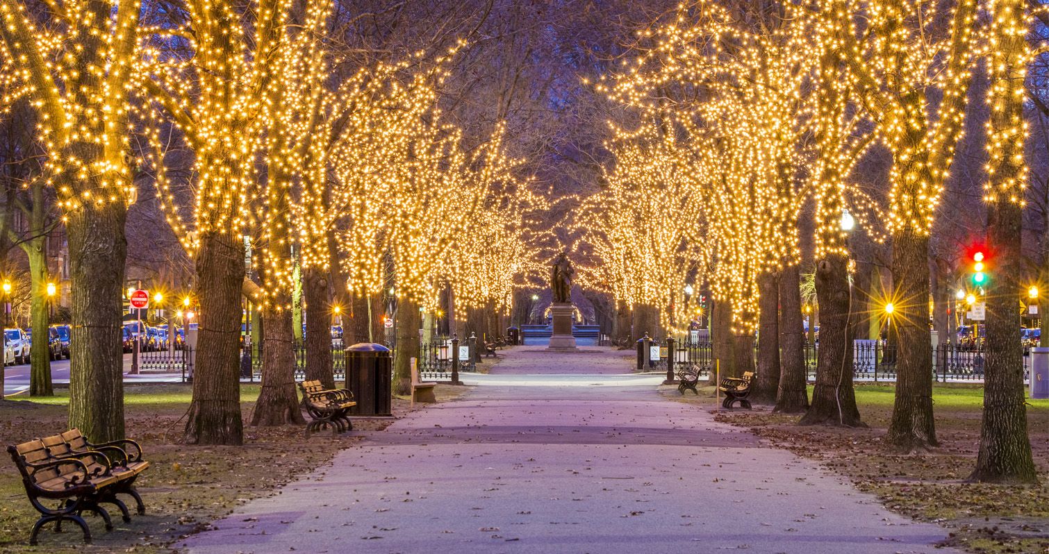 Best Places to See Holiday Lights Around Boston