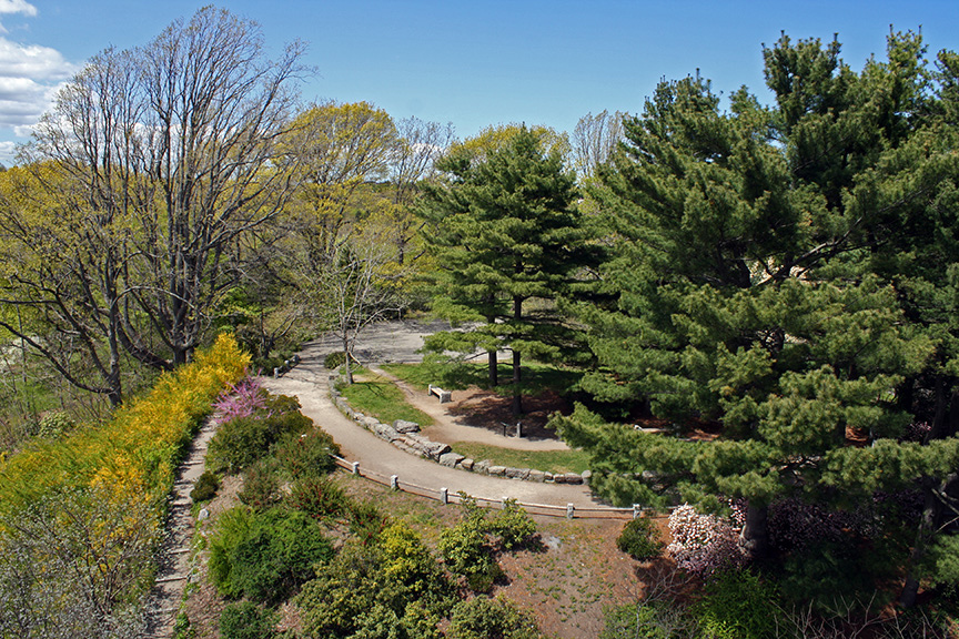 Aerial photo of arboretum with green trees, a pathway, stones, and pink and yellow flowers.