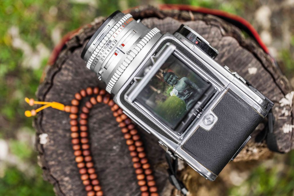 A camcorder rests on a step. A Buddhist statue appears on its screen. Prayer beads wrap around the stump and camcorder.