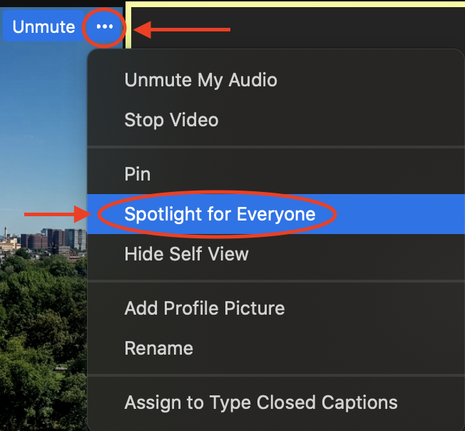 Screenshot explaining how to spotlight a participant's video for everyone, as explained on page.