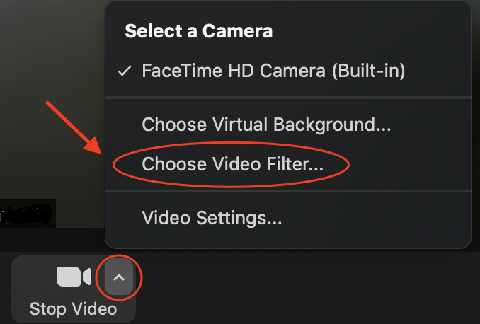 Screenshot showing how to choose a video filter on Zoom, as explained on page.