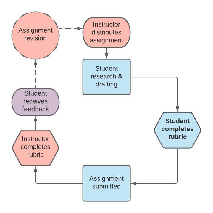 Flow chart of assessment cycle using student rubric