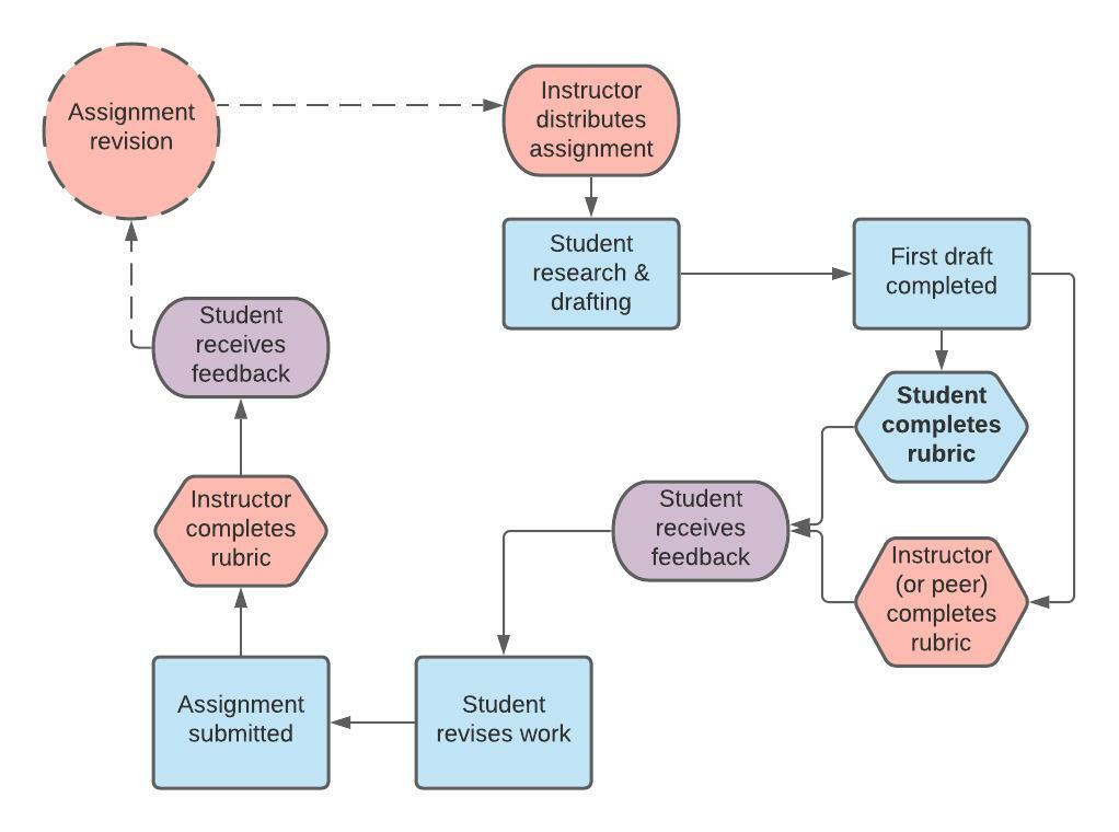 flow chart of assessment cycle with revision