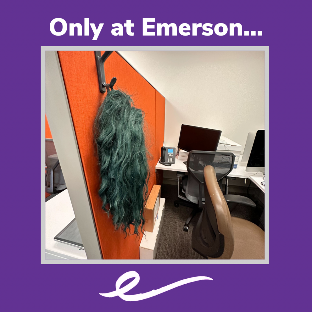 Photo of a wig hanging up in a cubicle with the words Only at Emerson...at the top