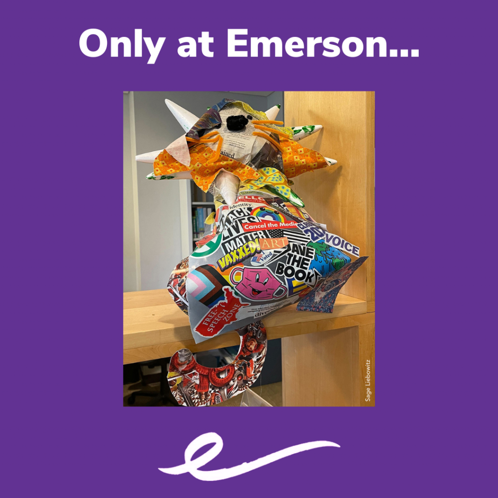 Photo of animal on a shelf in a purple frame that reads Only at Emerson...
