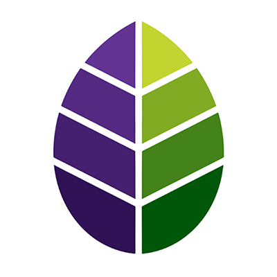 graphic of purple and green leaf